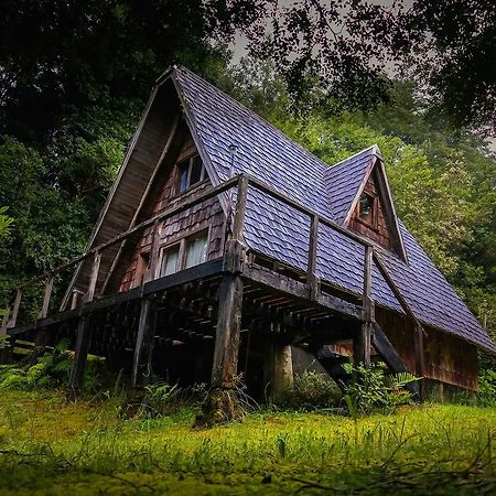 Gasthaus Ralun Patagonia Exterior foto